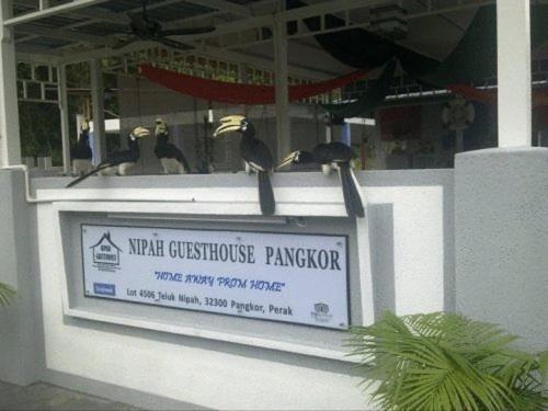 Nipah Guesthouse Pangkor Pekan Pangkor Exterior photo